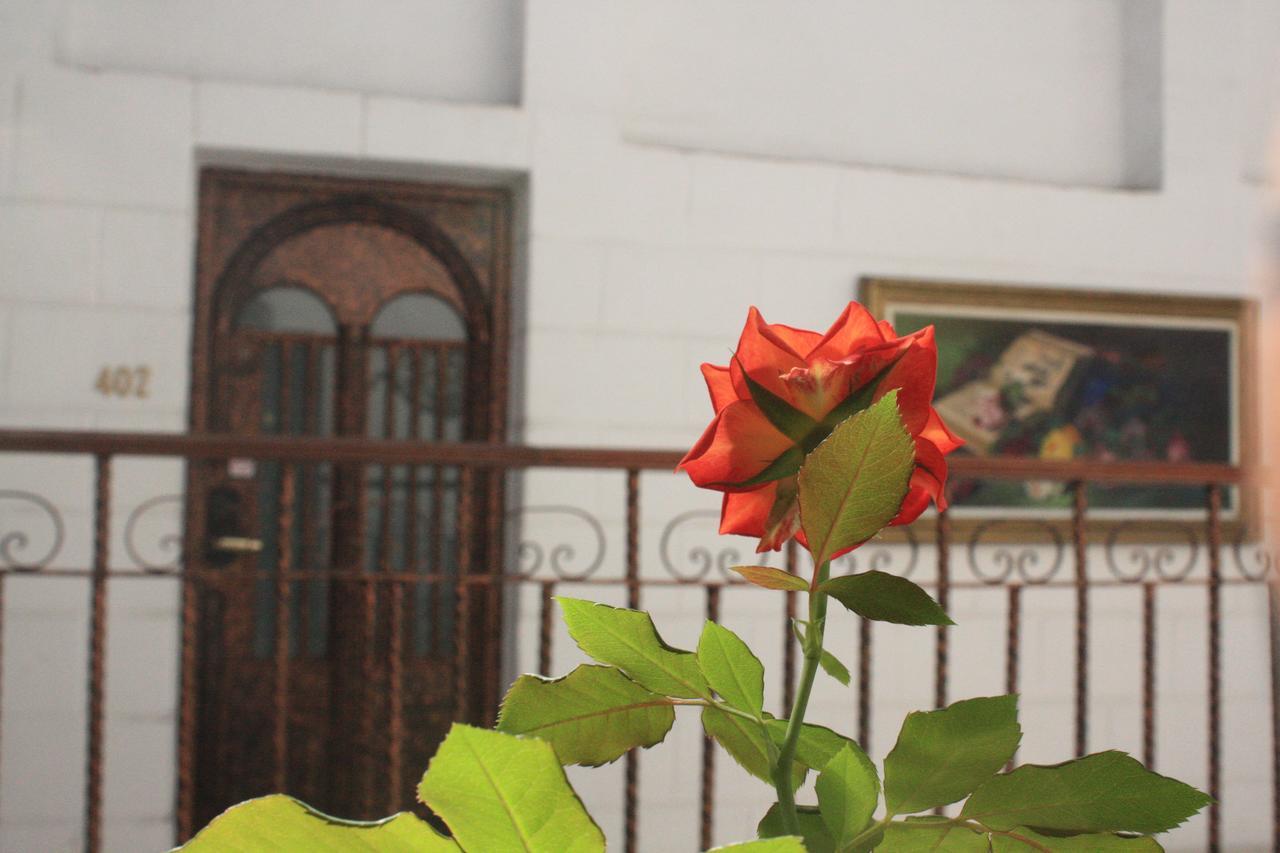 Casa De La Luna Mexico City Eksteriør billede